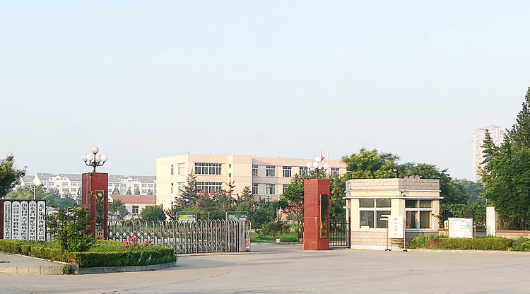 01.jpg