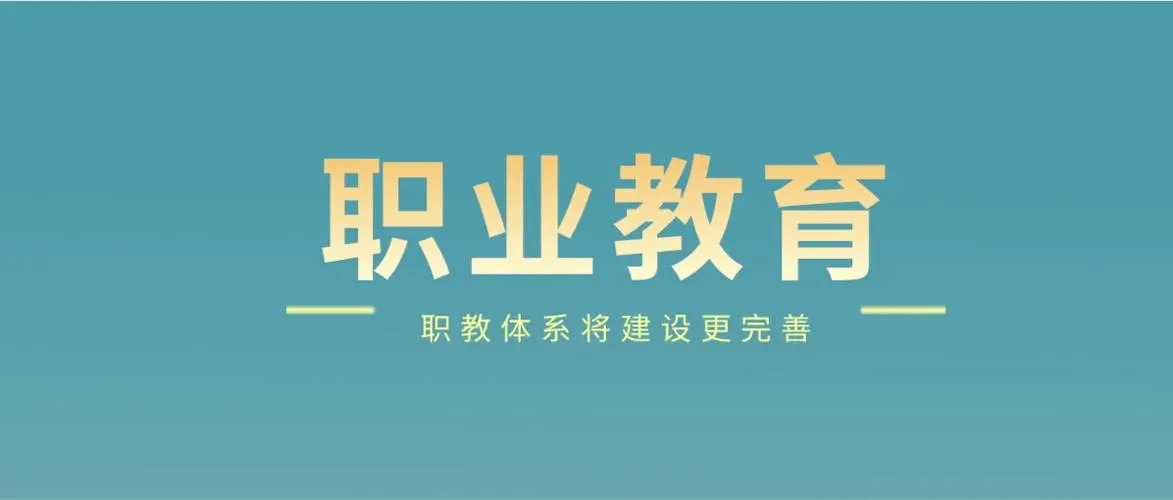 中国职业教育将会做出自己的贡献