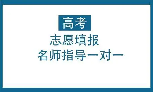 高考应该怎么填报志愿
