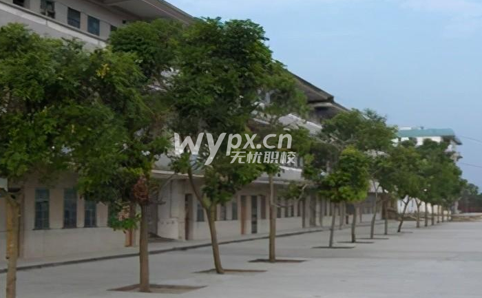 初中毕业没考上高中可以读什么学校